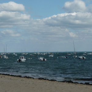 Cap - Ferret ( photo : F. Detry )