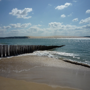 Cap - Ferret ( photo : F. Detry )