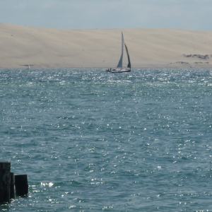 Cap - Ferret ( photo : F. Detry )