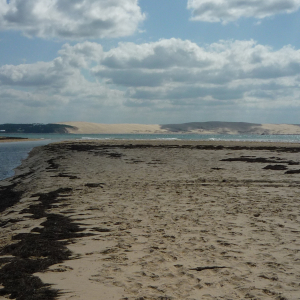 Cap - Ferret ( photo : F. Detry )