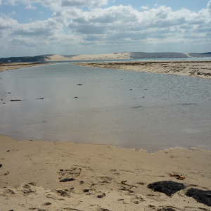 Cap - Ferret ( photo : F. Detry )