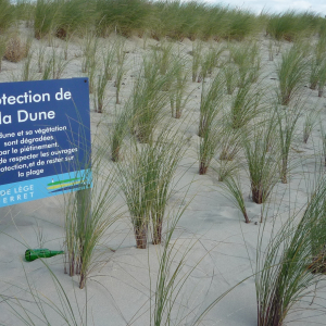 Cap - Ferret ( photo : F. Detry )