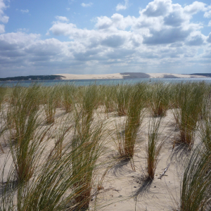 Cap - Ferret ( photo : F. Detry )