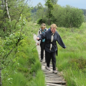 Les caillebotis de la Fagne de la Poleur Apres