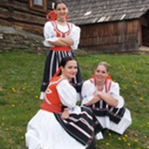 Festival Folklore Malmedy 2014
