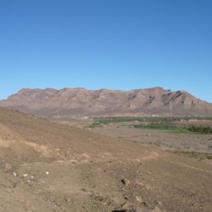 Une oasis dans la vallee du Drâa Une oasis dans la vallee du Drâa