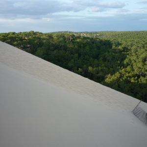 La Dune du Pylat ( photo : F. Detry )