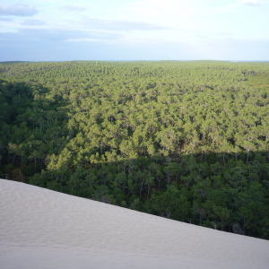 La Dune du Pylat ( photo : F. Detry )