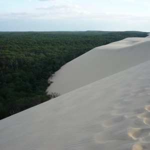 La Dune du Pylat ( photo : F. Detry )