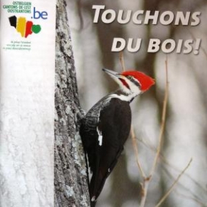 Brochure 4 : Touchons du bois 