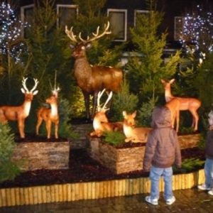 Decoration de quartier