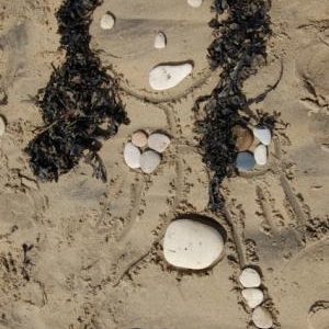 Rencontre ..... Rencontre .....