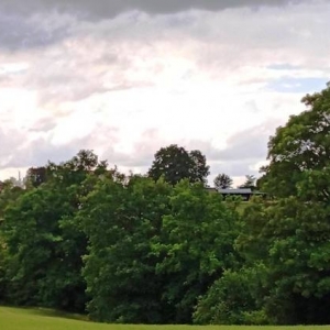 La future forêt malmédienne  ( Photo F. Detry )