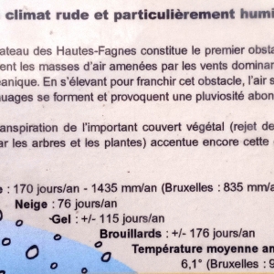 Le climat du Plateau des Hautes Fagnes