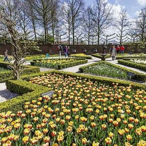 Keukenhof ( NL )