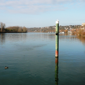 La Frette sur Seine  ( photo : F Detry )