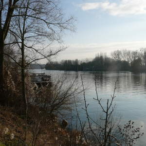 La Frette sur Seine  ( photo : F Detry )