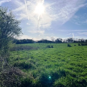 Le site du Laboru est privilégié comme implantation du futur nouvel hôpital de Verviers. ©CHR Verviers