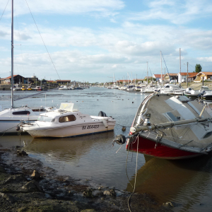 Le Teich  ( photo : F. Detry )