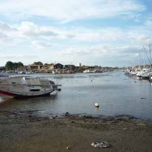 Le Teich  ( photo : F. Detry )