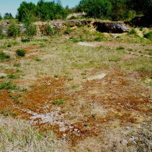 Découverte du parcours