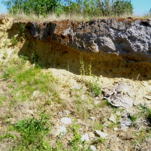 Découverte du parcours