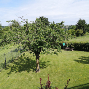 SAJA « Le BAILOU   rez-de-chaussée