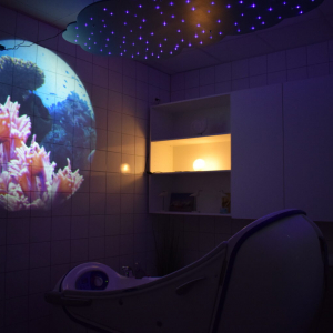 SAJA « Le BAILOU   rez-de-chaussée