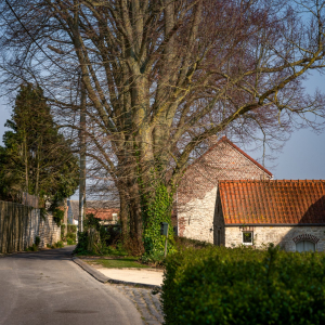 Saint-Remy - Geest  ( Brabant wallon )  ( Photo : Rita )