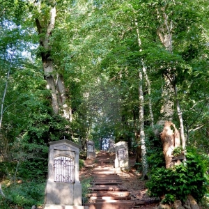 Le sentier du poudingue à Malmedy