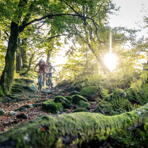 Stoneman_Arduenna©Dennis_Stratmann