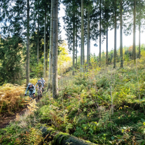 Stoneman_Arduenna  ( ©Dennis_Stratmann )