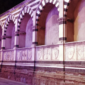 Visite nocturne de la ville (photo F. Detry )