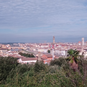 Vue de Florence ( photo F. Detry )