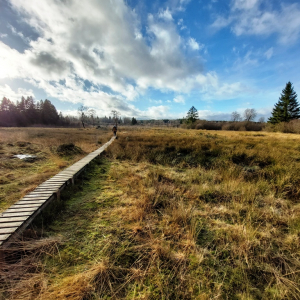 Même sans neige, une randonnée hivernale dans les Cantons de l'Est est une expérience à vivre. ©ostbelgien.eu