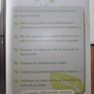 Petit-Thier : Entretien des espaces publics et désherbage.