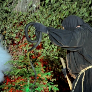 Sabbat des Macralles