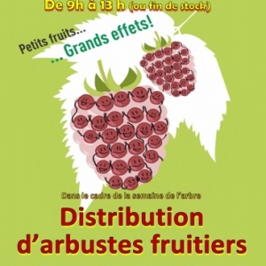 Distribution d'arbustes fruitiers