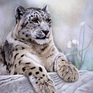Artiste animaliere: Francoise Nesse