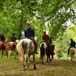 Rando - Gites - Willerzie