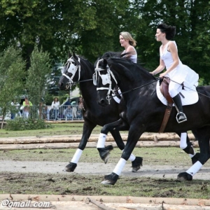 Fete du cheval, Hargnies