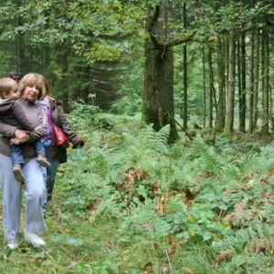 Gedinne Ecolo balades: foret, biodiversite et changements climatiques