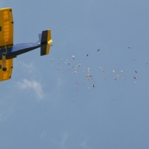 Aeroclub Les Faucons