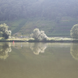 Croisiere Moselle Princesse Marie Astrid