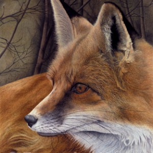 Artiste animaliere: Francoise Nesse