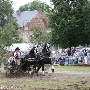 Fete du cheval, Hargnies
