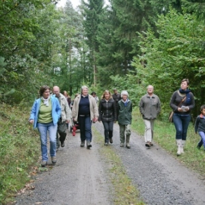 Gedinne Ecolo balades: foret, biodiversite et changements climatiques