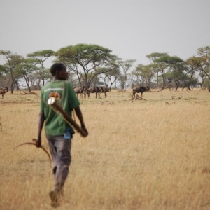 Kwetu Safaris Tanzanie