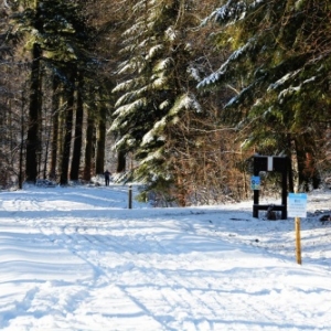 Les pistes Croix-Scaille de ski de fond sont ouvertes !