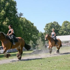 Ecuyeres